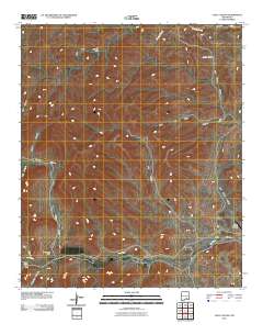 Loco Canyon 2010 topographic map thumbnail