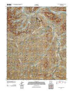 La Vida Mission 2010 topographic map thumbnail