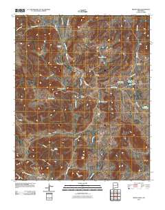 Medina Mesa 2010 topographic map thumbnail