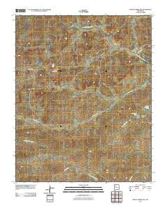 Mesita Americana 2010 topographic map thumbnail