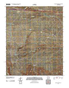 Milagro Spring 2010 topographic map thumbnail