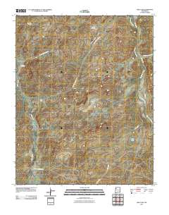Milk Lake 2010 topographic map thumbnail