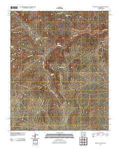 Pinavete Canyon 2010 topographic map thumbnail