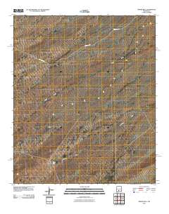 Prisor Well 2010 topographic map thumbnail