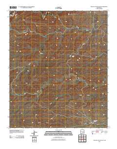Nelson Canyon East 2010 topographic map thumbnail