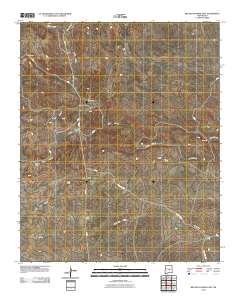 Red Bluff Draw East 2010 topographic map thumbnail