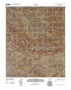 Red Bluff Draw West 2010 topographic map thumbnail