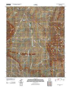 Ojo Hedionda 2010 topographic map thumbnail