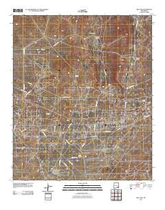 Red Lake 2010 topographic map thumbnail