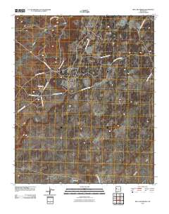 Red Lake Mission 2010 topographic map thumbnail