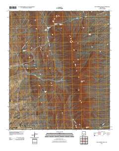 San Andres Peak 2010 topographic map thumbnail
