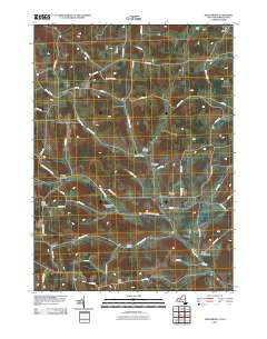 Troupsburg 2010 topographic map thumbnail