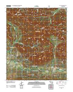 Big Cedar 2011 topographic map thumbnail