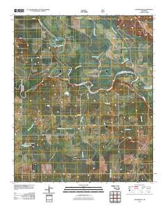 Goodwater 2010 topographic map thumbnail