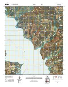 Union Springs 2010 topographic map thumbnail