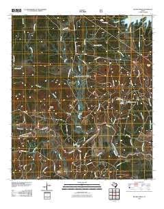 Boykin Spring 2010 topographic map thumbnail