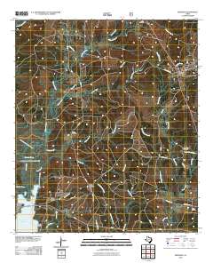 Bronson 2010 topographic map thumbnail