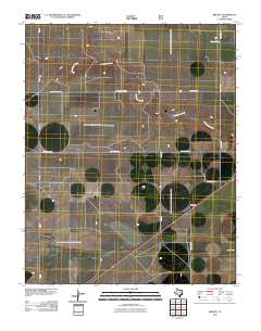 Brickel 2010 topographic map thumbnail