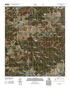 Apple Springs 2010 topographic map thumbnail