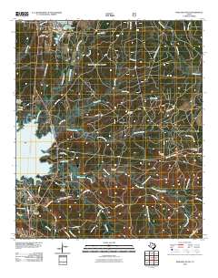 Pineland South 2010 topographic map thumbnail