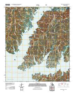 Beech Bayou 2010 topographic map thumbnail