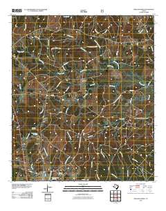 Pineland North 2010 topographic map thumbnail