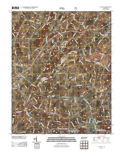 Chuckey 2011 topographic map thumbnail