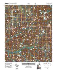 Camp Hill 2010 topographic map thumbnail
