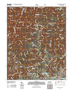 Oneida North 2011 topographic map thumbnail