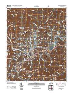 Bryson City 2011 topographic map thumbnail