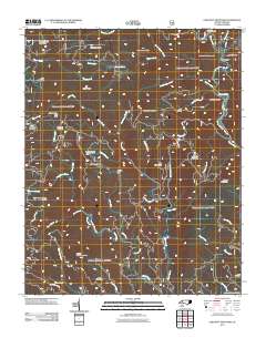 Chestnut Mountain 2011 topographic map thumbnail
