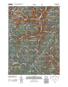 Lynch 2011 topographic map thumbnail