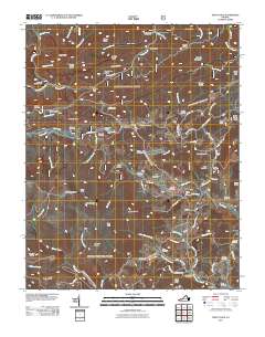 Trout Dale 2011 topographic map thumbnail