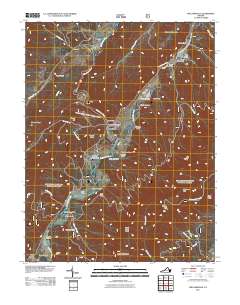 Williamsville 2011 topographic map thumbnail