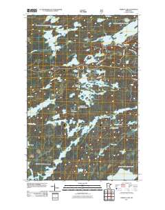 Ojibway Lake 2011 topographic map thumbnail
