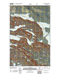 Pine Lake East 2011 topographic map thumbnail