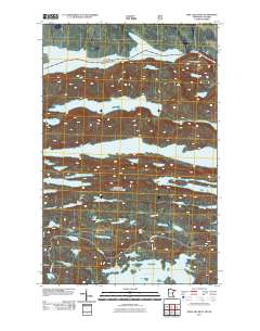 Pine Lake West 2011 topographic map thumbnail