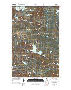 Tom Lake 2011 topographic map thumbnail