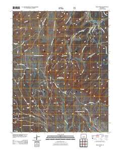 Bear Creek 2011 topographic map thumbnail