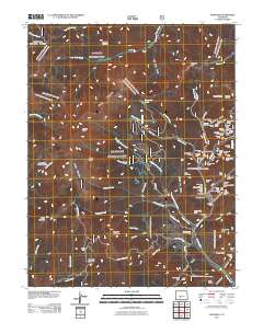 Bonanza 2011 topographic map thumbnail