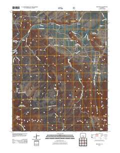 Red Wing 2011 topographic map thumbnail