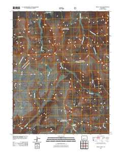 Baldy Cinco 2011 topographic map thumbnail