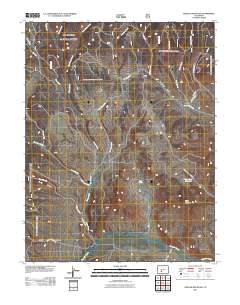 Trickle Mountain 2011 topographic map thumbnail