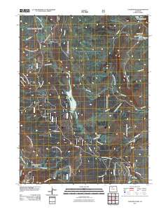 Tyler Mountain 2011 topographic map thumbnail