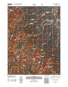 Willow Lakes 2011 topographic map thumbnail