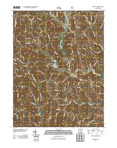 Ringgold 2011 topographic map thumbnail