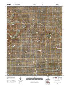 McLaughlin Bridge 2011 topographic map thumbnail