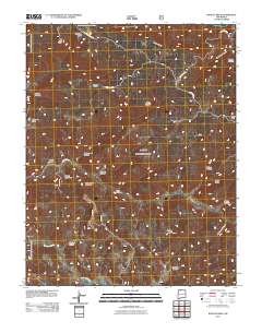 Bancos Mesa 2011 topographic map thumbnail