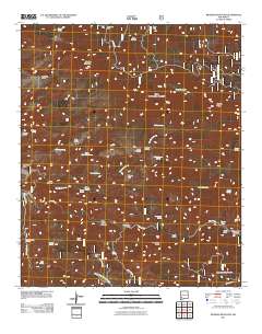 Reading Mountain 2011 topographic map thumbnail