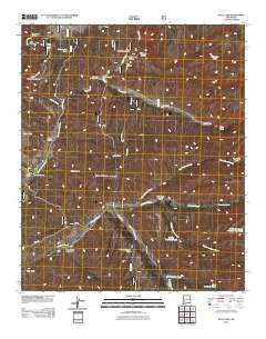 Wall Lake 2011 topographic map thumbnail
